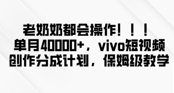 老奶奶都会操作，新平台无脑操作，单月40000+，vivo短视频创作分成计划【揭秘】-皮皮网创