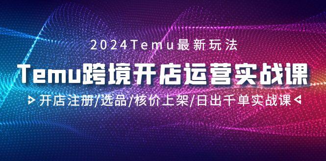 2024Temu跨境开店运营实战课，开店注册/选品/核价上架/日出千单实战课-皮皮网创