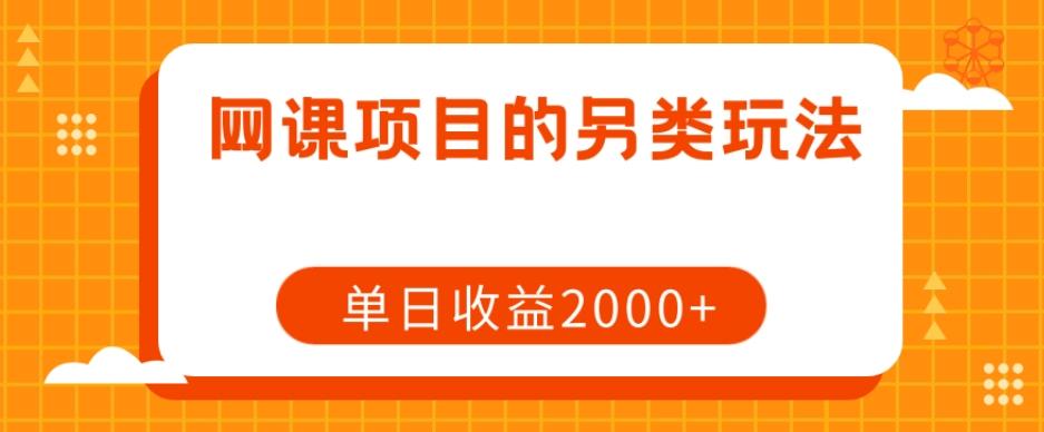 网课项目的另类玩法，单日收益2000+【揭秘】-皮皮网创