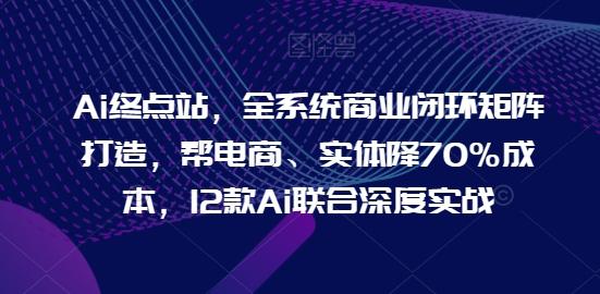Ai终点站，全系统商业闭环矩阵打造，帮电商、实体降70%成本，12款Ai联合深度实战-皮皮网创
