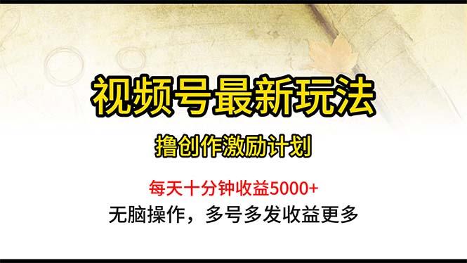 视频号最新玩法，每日一小时月入5000+-皮皮网创
