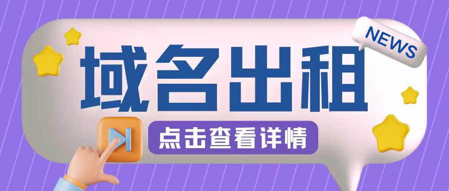 冷门项目，域名出租玩法，简单粗暴适合小白【揭秘】-皮皮网创