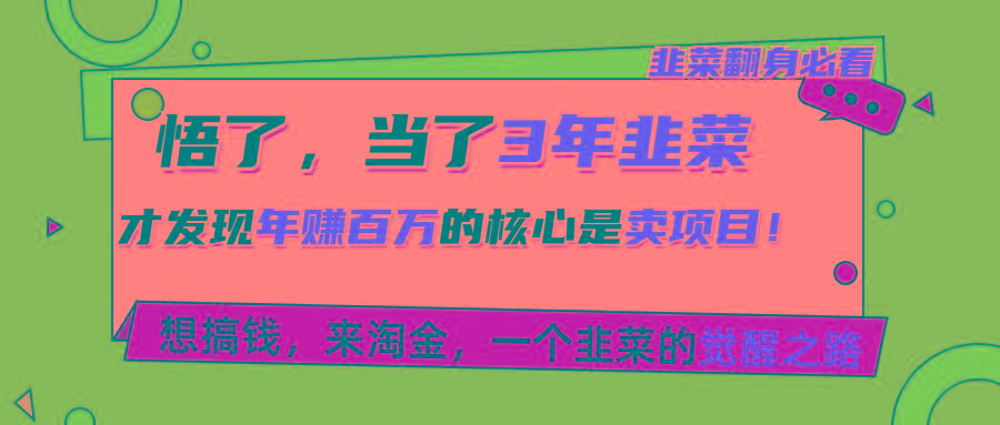 悟了，当了3年韭菜，才发现网赚圈年赚100万的核心是卖项目，含泪分享！-皮皮网创