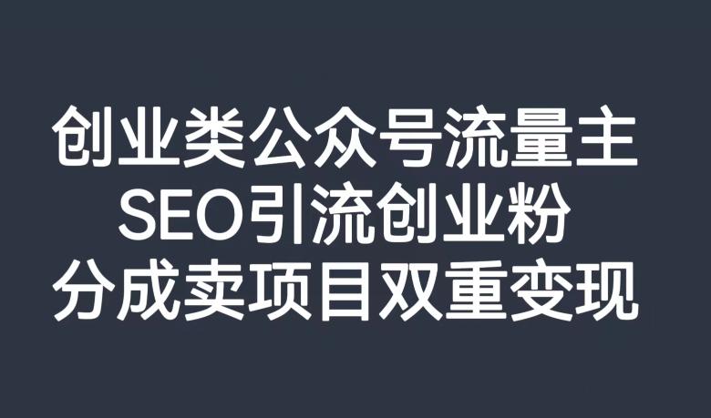 创业类公众号流量主，SEO引流创业粉，分成卖项目双重变现【揭秘】-皮皮网创