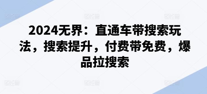 2024无界：直通车带搜索玩法，搜索提升，付费带免费，爆品拉搜索-皮皮网创
