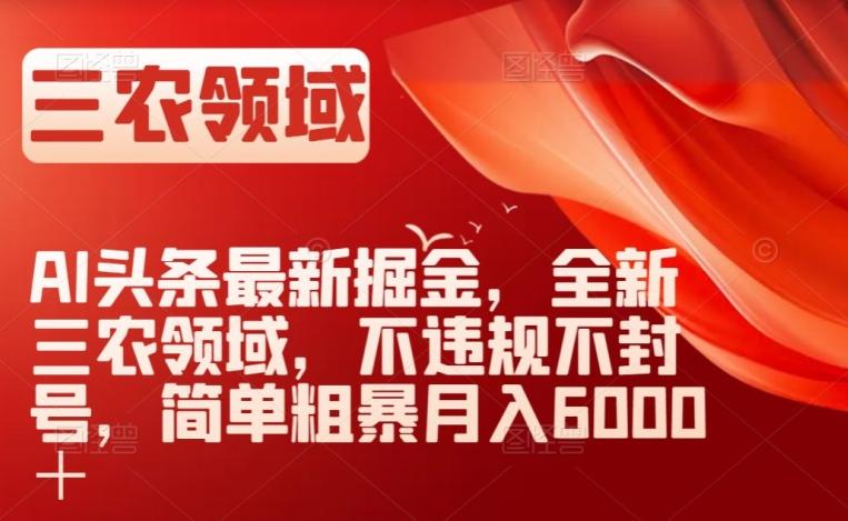 AI头条最新掘金，全新三农领域，不违规不封号，简单粗暴月入6000＋【揭秘】-皮皮网创
