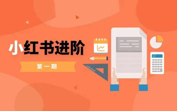 小红书进阶篇，零基础小白实战课，普通人变现的课程-皮皮网创