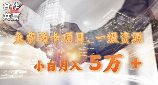 免费送卡项目，一级资源，小白月入5万+-皮皮网创