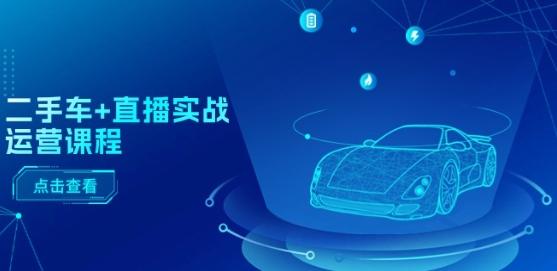 二手车+直播实战运营课程：直播推荐/短视频推荐/千川投放/直播全流程-皮皮网创