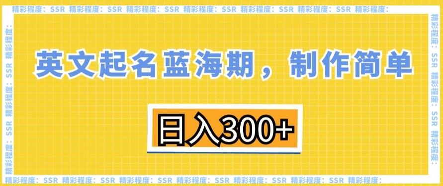 英文起名蓝海期，制作简单，日入300+【揭秘】-皮皮网创