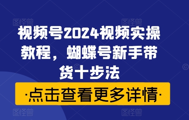 视频号2024视频实操教程，蝴蝶号新手带货十步法-皮皮网创