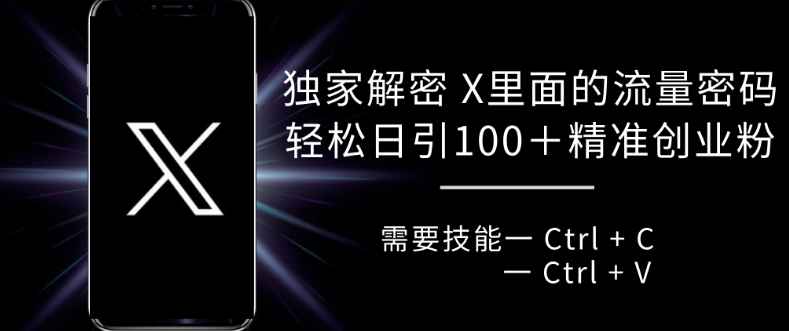 独家解密 X 里面的流量密码，复制粘贴轻松日引100+-皮皮网创