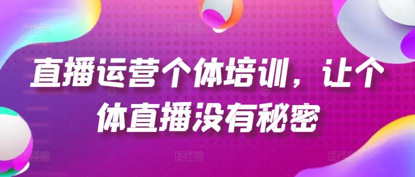 直播运营个体培训，让个体直播没有秘密，起号、货源、单品打爆、投流等玩法-皮皮网创