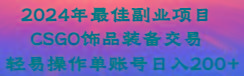 2024年最佳副业项目 CSGO饰品装备交易 轻易操作单账号日入200+-皮皮网创