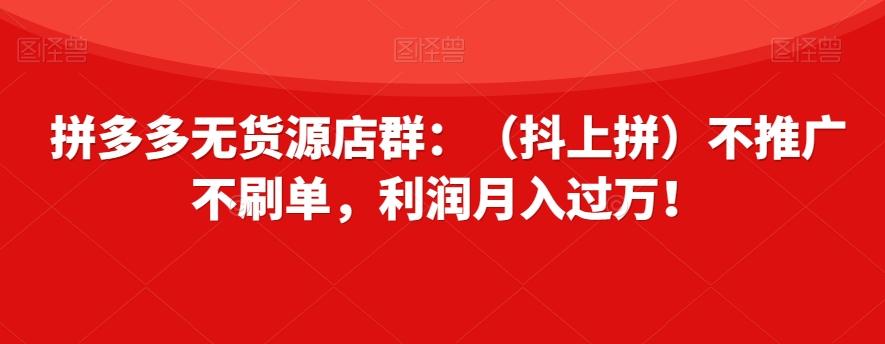 拼多多无货源店群：（抖上拼）不推广不刷单，利润月入过万！【揭秘】-皮皮网创