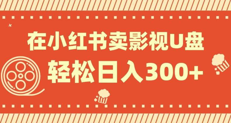 在小红书上卖影视U盘，轻松日入300+，操作简单，小白可轻松上手-皮皮网创