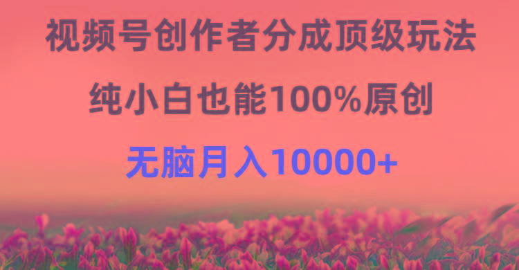 (9608期)视频号创作者分成顶级玩法，纯小白也能100%原创，无脑月入10000+-皮皮网创