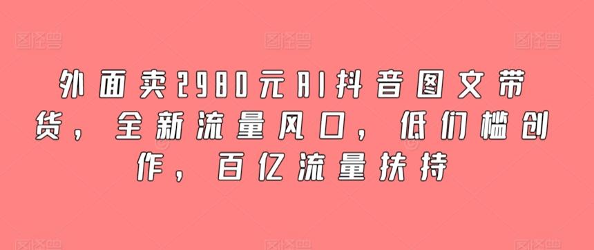 外面卖2980元AI抖音图文带货，全新流量风口，低们槛创作，百亿流量扶持-皮皮网创
