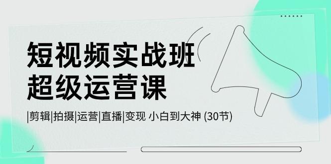 短视频实战班超级运营课 |剪辑|拍摄|运营|直播|变现 小白到大神 (30节)-皮皮网创