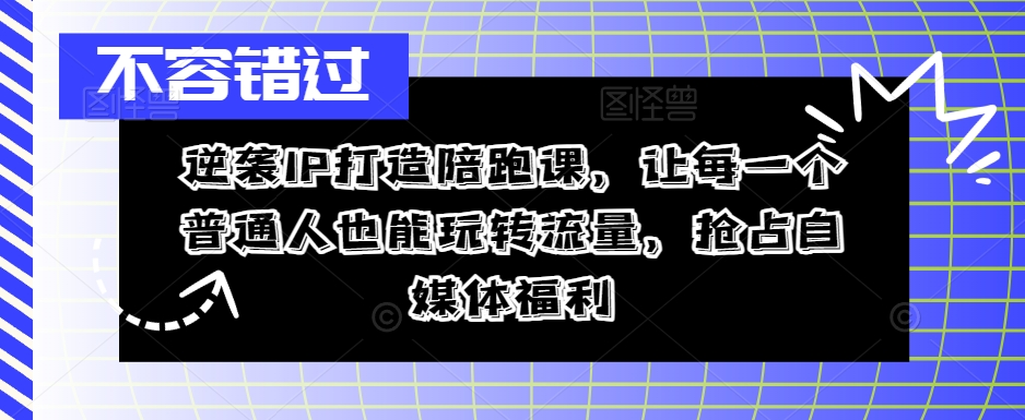 逆袭IP打造陪跑课，让每一个普通人也能玩转流量，抢占自媒体福利-皮皮网创