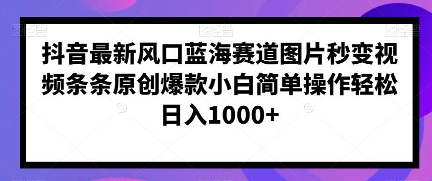抖音最新风口蓝海赛道图片秒变视频条条原创爆款小白简单操作轻松日入1000+-皮皮网创