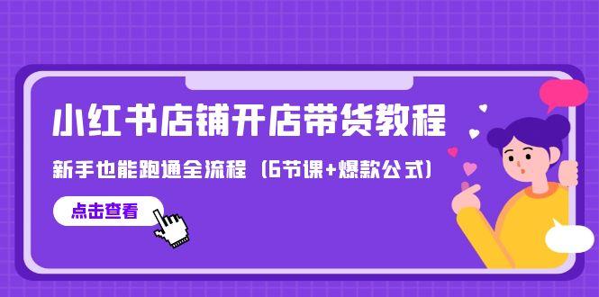(9883期)最新小红书店铺开店带货教程，新手也能跑通全流程(6节课+爆款公式)-皮皮网创