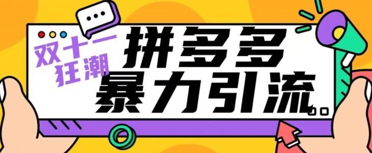 【首发】双十一拼多多暴力引流，日引300+微信-皮皮网创