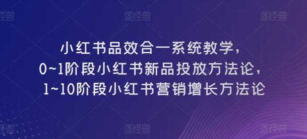 小红书品效合一系统教学，​0~1阶段小红书新品投放方法论，​1~10阶段小红书营销增长方法论-皮皮网创