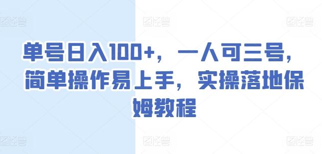 单号日入100+，一人可三号，简单操作易上手，实操落地保姆教程【揭秘】-皮皮网创