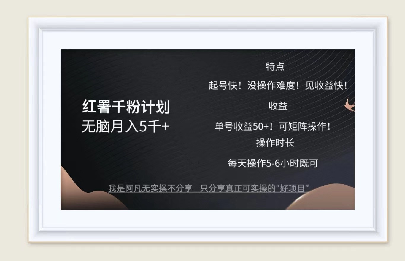 红薯千粉计划无脑月入5千+！既做既赚！-皮皮网创