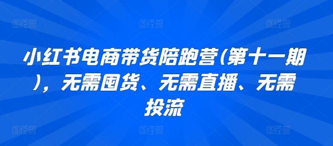 小红书电商带货陪跑营(第十一期)，无需囤货、无需直播、无需投流-皮皮网创