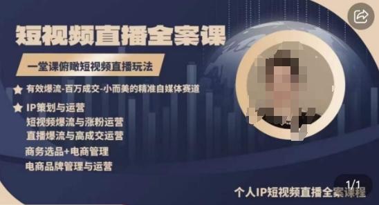高品质IP短视频直播全案课程，一堂课俯瞰短视频直播玩法-皮皮网创