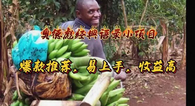 奥德彪经典语录小项目，爆款推荐，易上手，收益高-皮皮网创