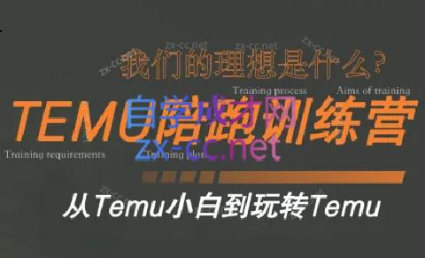 苗苗·拼多多跨境（temu）课程-皮皮网创