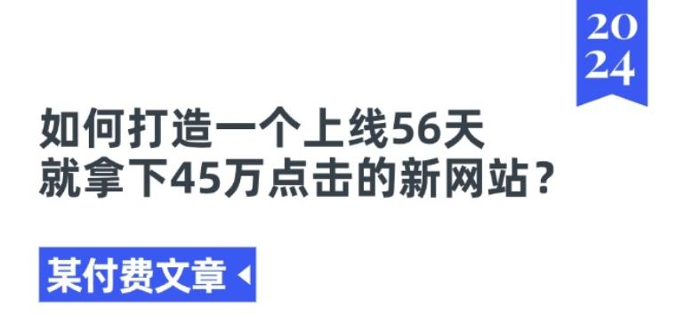 某付费文章《如何打造一个上线56天就拿下45万点击的新网站?》-皮皮网创