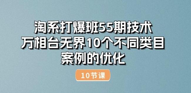 淘系打爆班55期技术：万相台无界10个不同类目案例的优化(10节)-皮皮网创