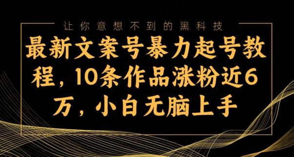 最新文案号暴力起号教程，10条作品涨粉近6万，小白无脑上手-皮皮网创