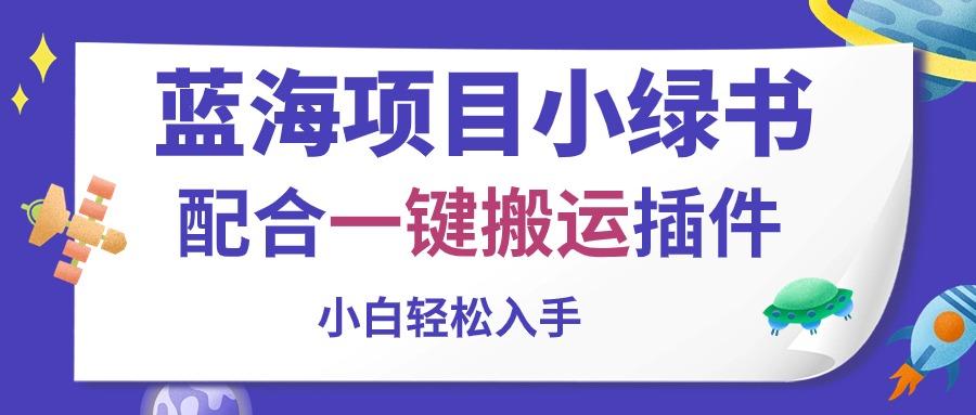 蓝海项目小绿书，配合一键搬运插件，小白轻松入手-皮皮网创