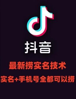 最新技术抖音捞实名+捞手机号技术，抖音直播封禁释放十名/手机号，直接替换出来!-皮皮网创