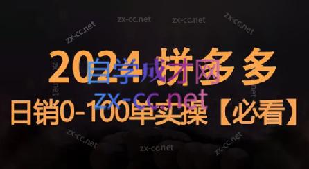 恒哥·2024拼多多日销0-100单实操-皮皮网创
