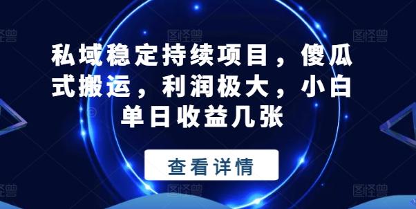 私域稳定持续项目，傻瓜式搬运，利润极大，小白单日收益几张【揭秘】-皮皮网创