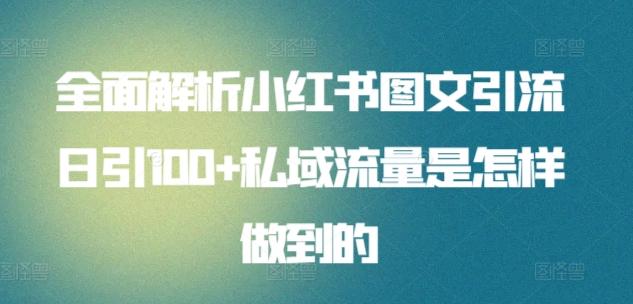 全面解析小红书图文引流日引100+私域流量是怎样做到的【揭秘】-皮皮网创
