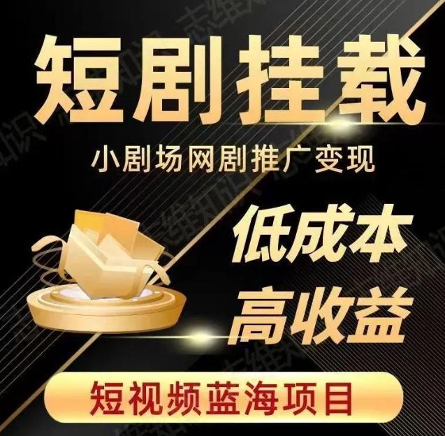 2023短视频蓝海项目，抖音快手短剧推广变现教程，低成本高收益-皮皮网创