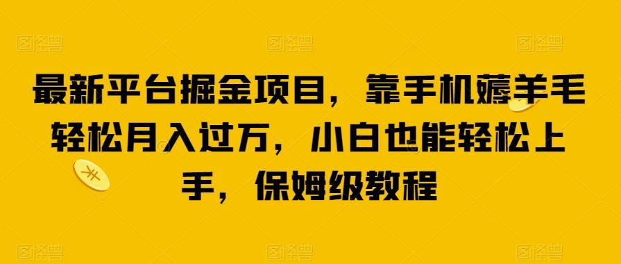 最新平台掘金项目，靠手机薅羊毛轻松月入过万，小白也能轻松上手，保姆级教程【揭秘】-皮皮网创