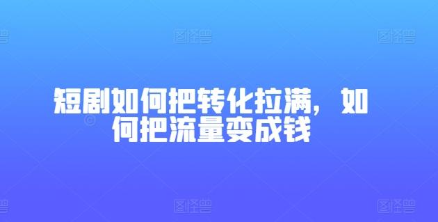 短剧如何把转化拉满，如何把流量变成钱-皮皮网创