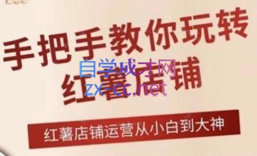 海燕老师·2024手把手教你玩转红薯店铺-皮皮网创
