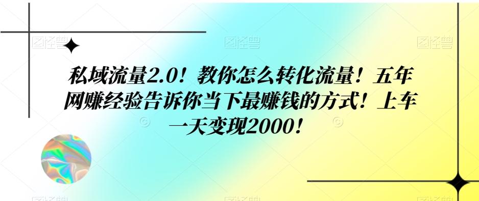 私域流量2.0！教你怎么转化流量！五年网赚经验告诉你当下最赚钱的方式！上车一天变现2000！-皮皮网创