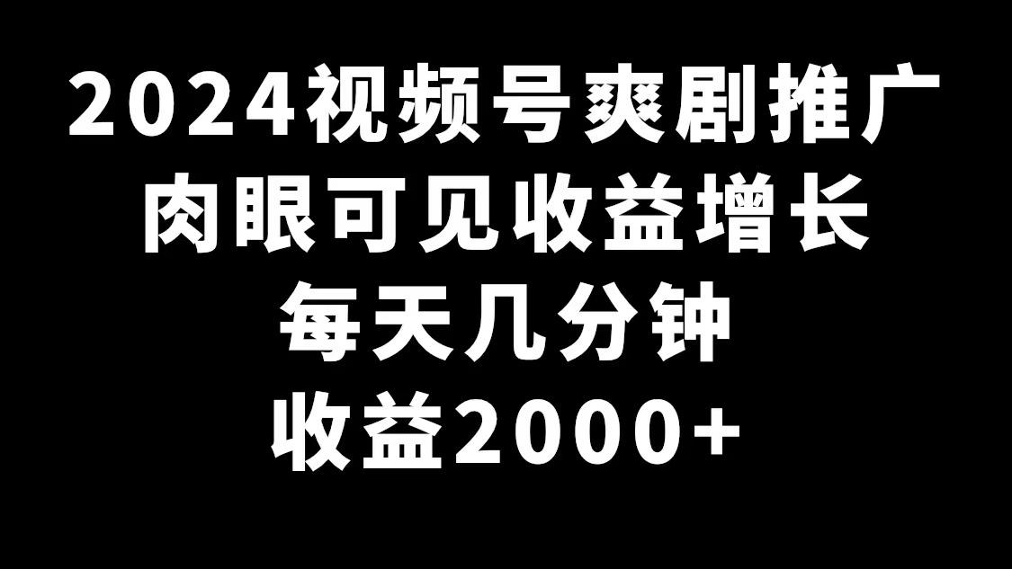 2024视频号爽剧推广，肉眼可见的收益增长，每天几分钟收益2000+-皮皮网创