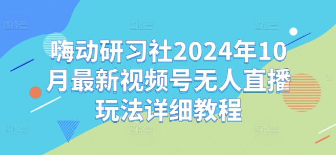 嗨动研习社2024年10月最新视频号无人直播玩法详细教程-皮皮网创