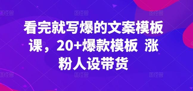 看完就写爆的文案模板课，20+爆款模板  涨粉人设带货-皮皮网创